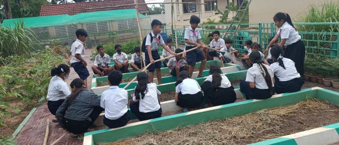 photo_2023-06-16_16-03-25