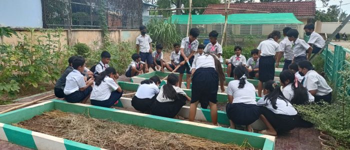 photo_2023-06-16_16-03-31