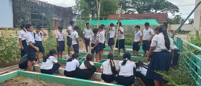 photo_2023-06-16_16-03-35