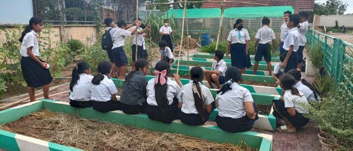 photo_2023-06-16_16-03-40