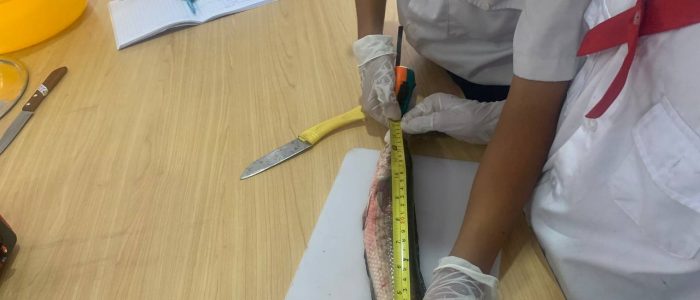 photo_2023-06-20_08-16-37